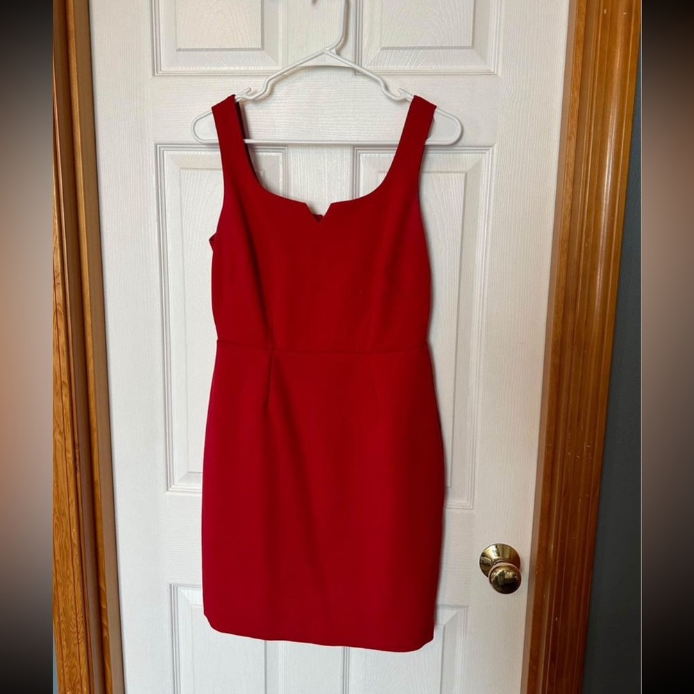 The Limited Red Pencil Dress with Gold Zipper Size 8